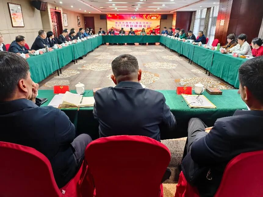 傅小松參加市政協(xié)六屆五次會議民盟民建農(nóng)工九三界別聯(lián)組討論